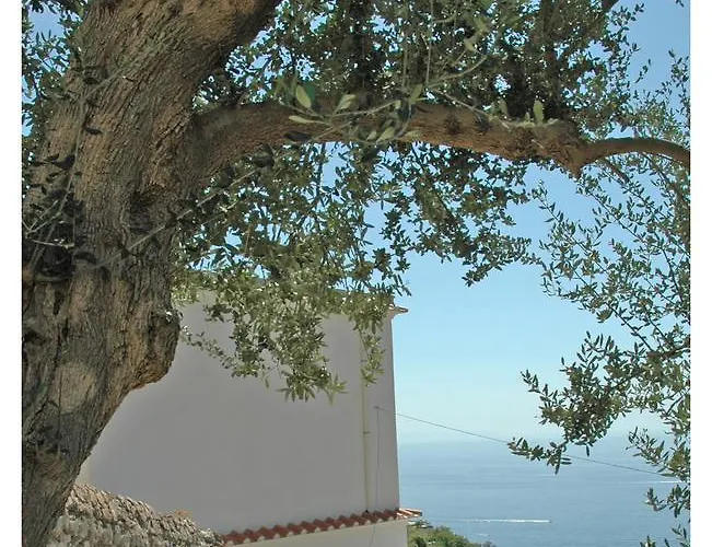 Al Poggio Antico