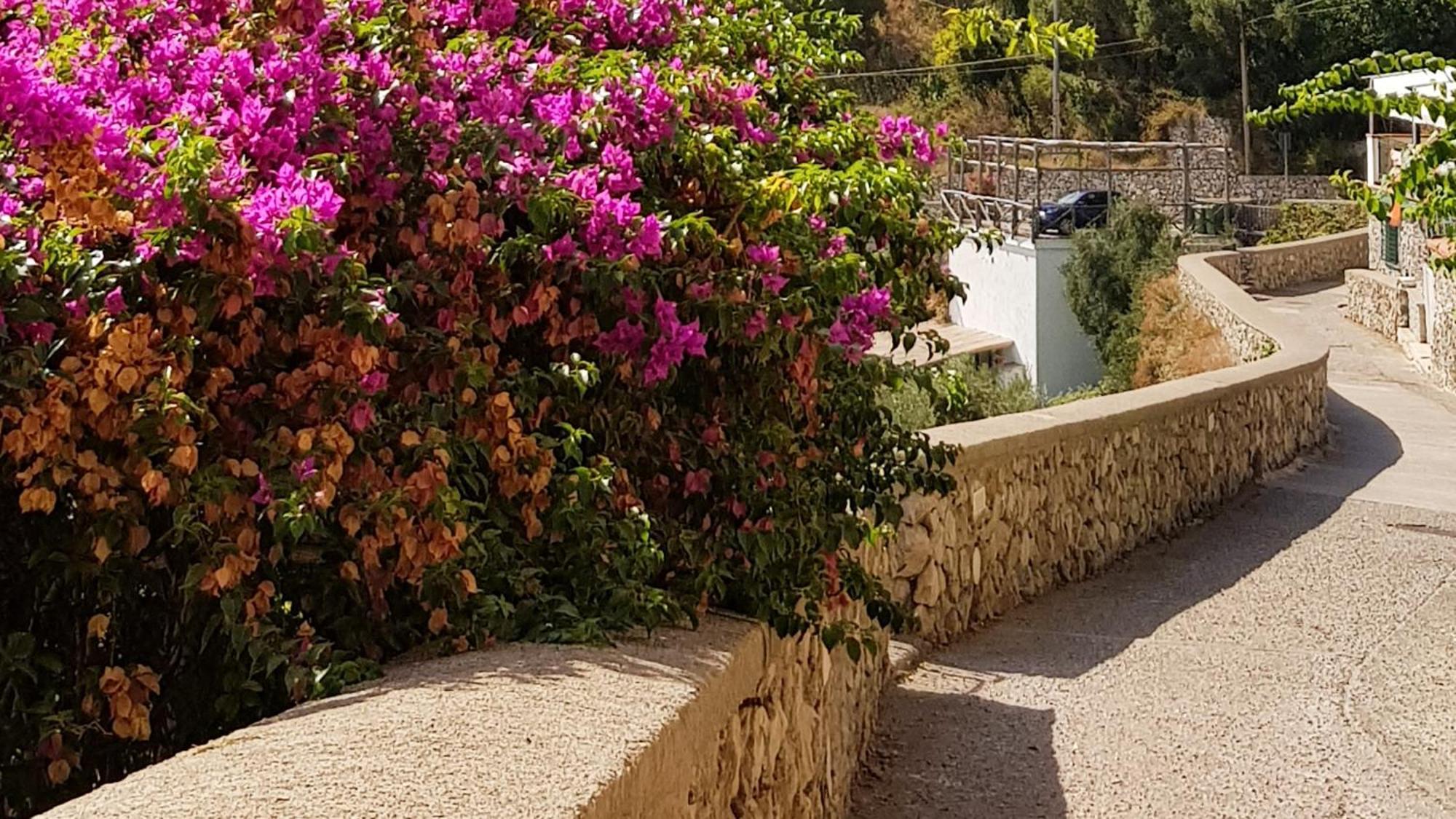 Aparthotel Al Poggio Antico 2*