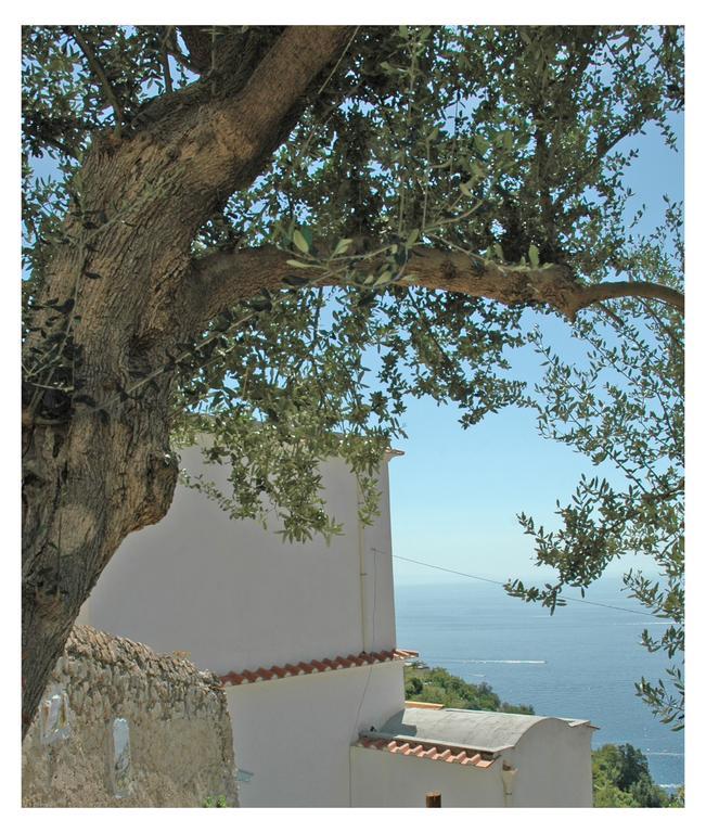 Al Poggio Antico Aparthotel